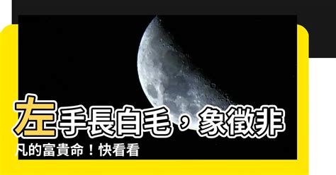 左手長白毛|身上有一根毛特別長，是長壽象徵，還是癌變前兆？